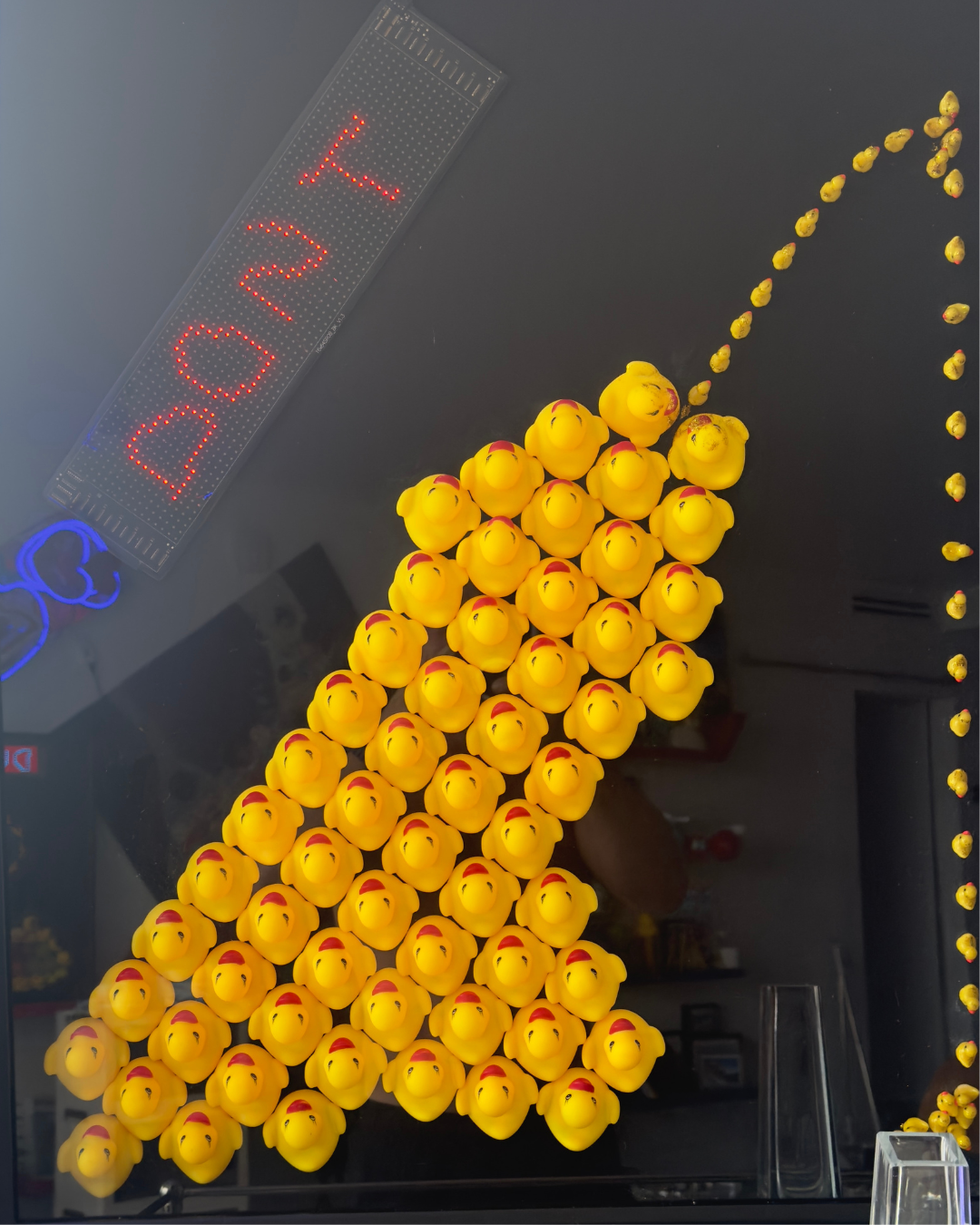 Don’t be a Duck straight