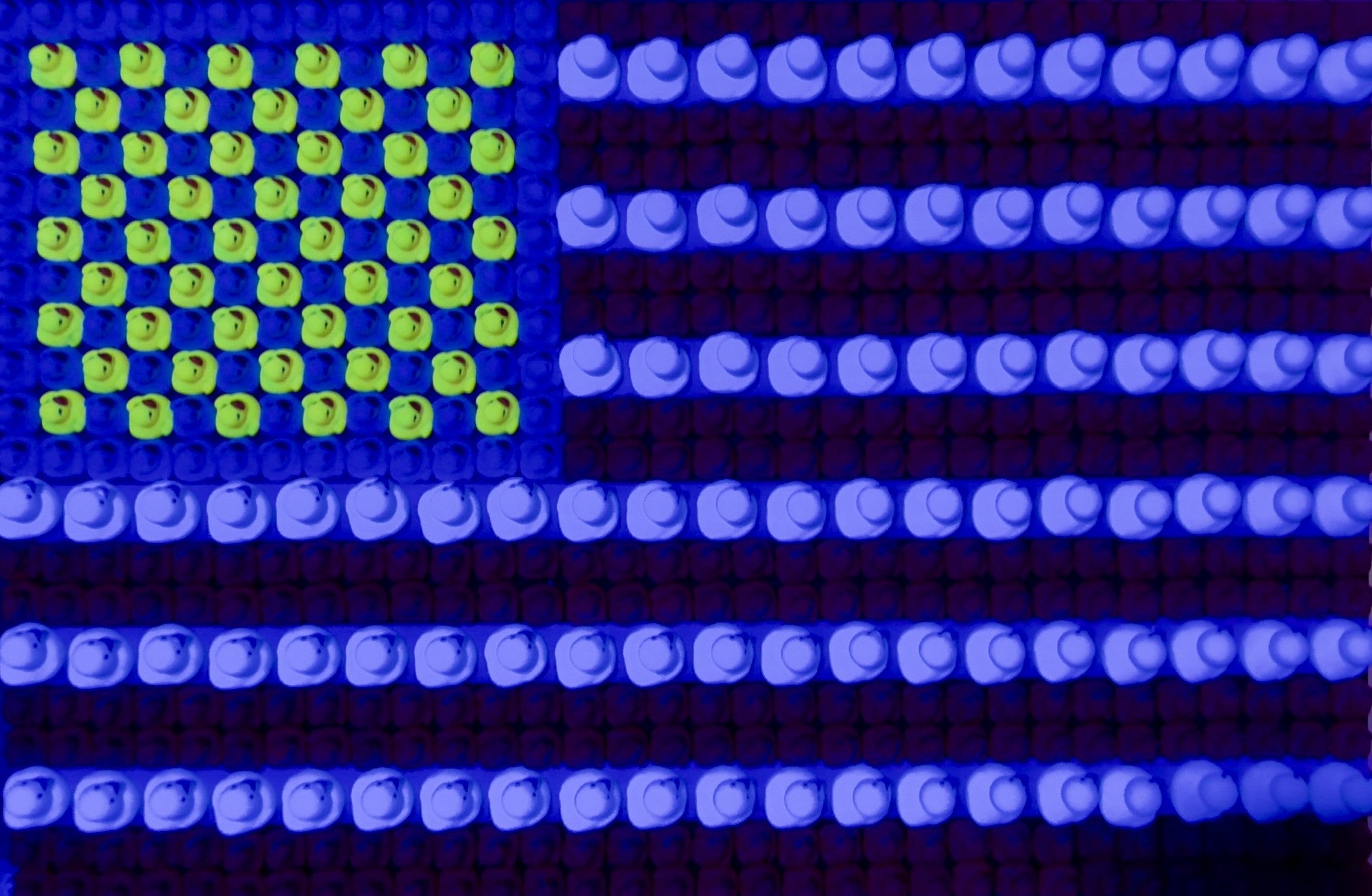 United Kuaks of America