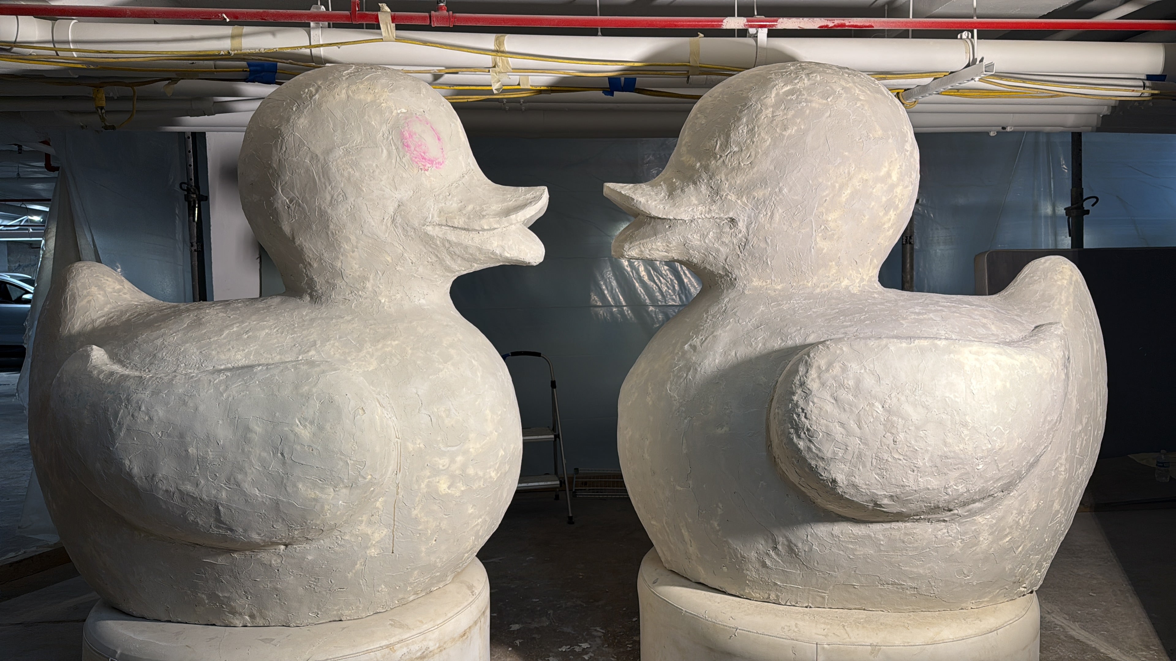 Unity Beak #4 | FLY Miami Art