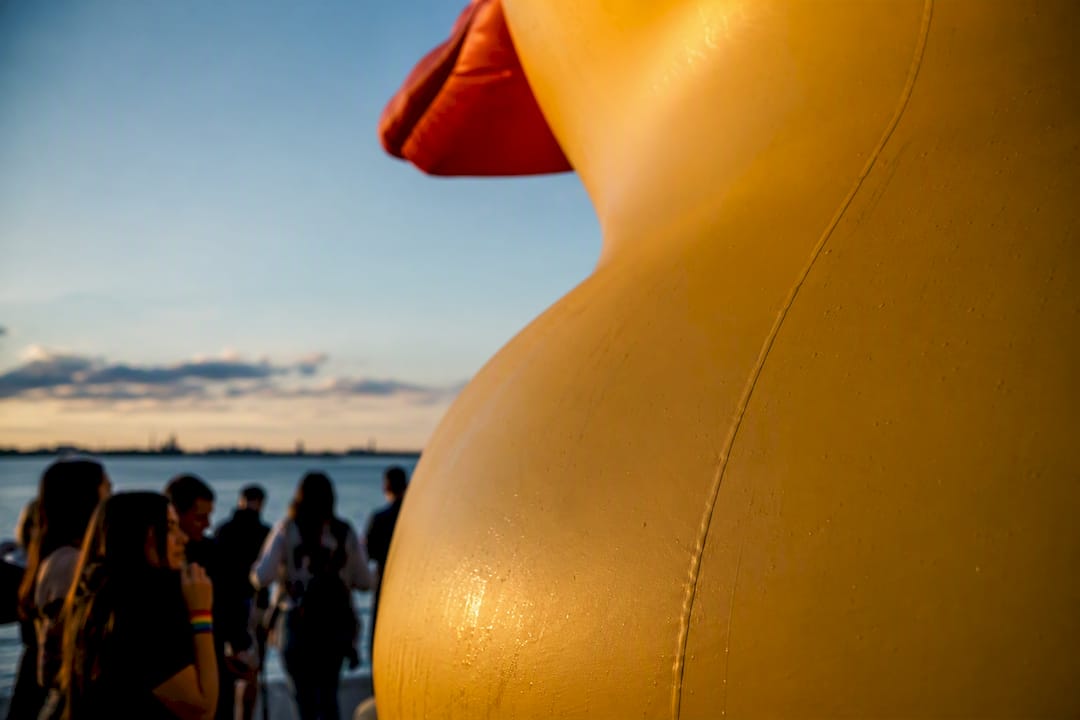 Cropped giant rubber duck at waterfront installation