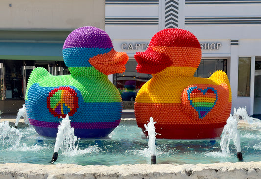 Unity Beak #2 | FLY Miami Art